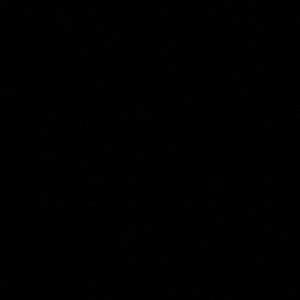 Meet your Posher, Maya